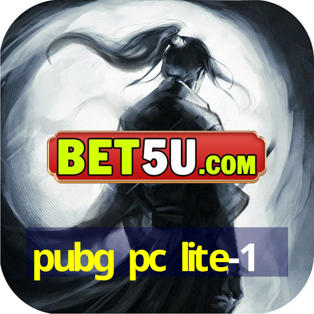 pubg pc lite